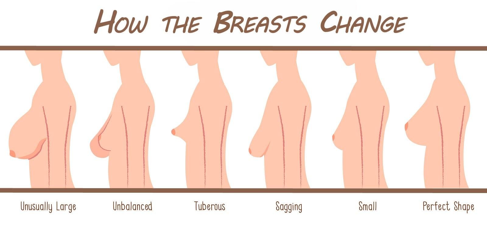 Breast cup size map